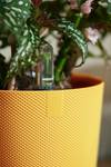 jazz rund 26cm amber gelb